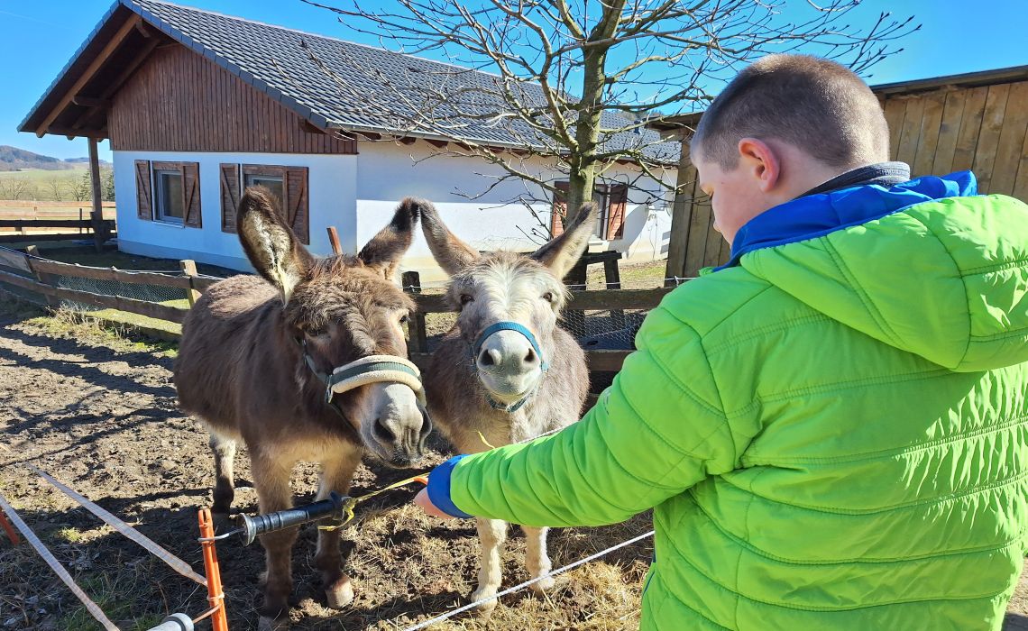 Die Tier-AG auf dem Bauernhof